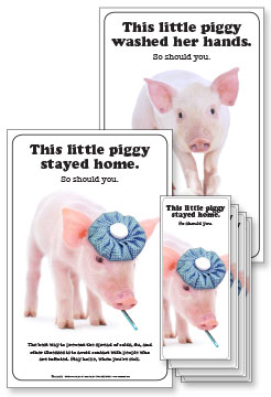 Piggy Poster and Fact Card Kits