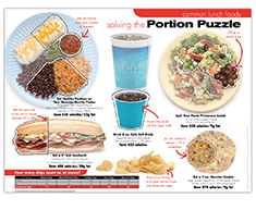 Portion Puzzle Poster (Lunch)