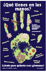 Spanish poster: What’s on Your Hands?