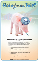 Going to the Fair? Poster