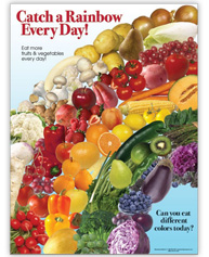 Catch A Rainbow Poster